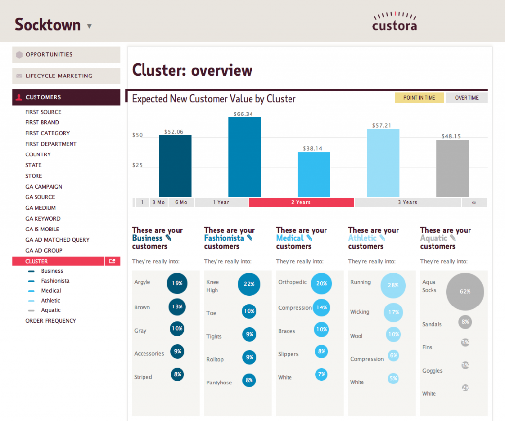 custora customer insights